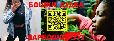 jwh Шебекино