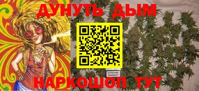 jwh Шебекино