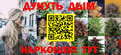 jwh Шебекино