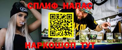 jwh Шебекино