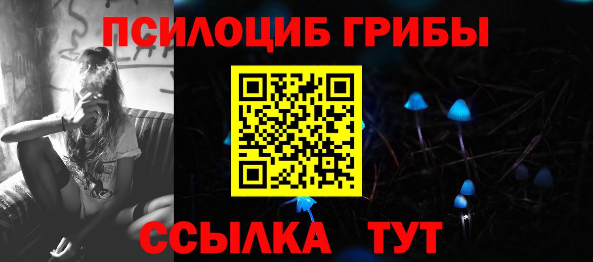 Псилоцибиновые грибы GOLDEN TEACHER Белово