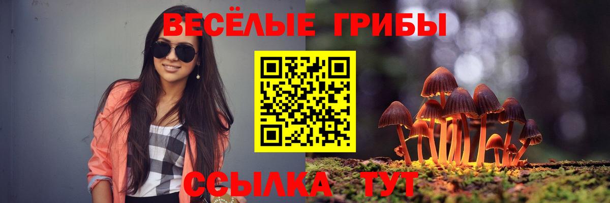 Галлюциногенные грибы Magic Shrooms  Вход с VPN  Белово 
